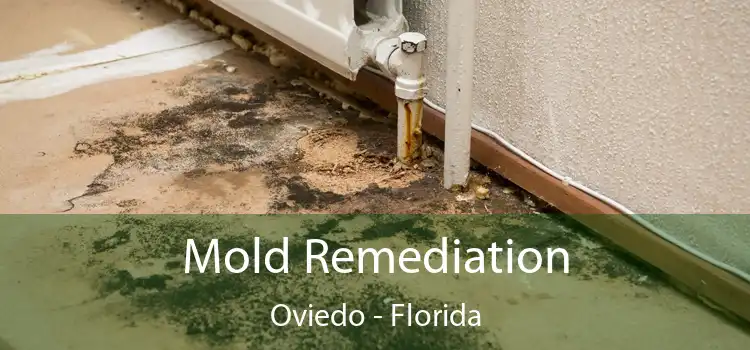 Mold Remediation Oviedo - Florida