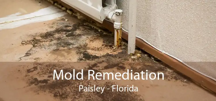 Mold Remediation Paisley - Florida