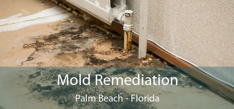 Mold Remediation Palm Beach - Florida