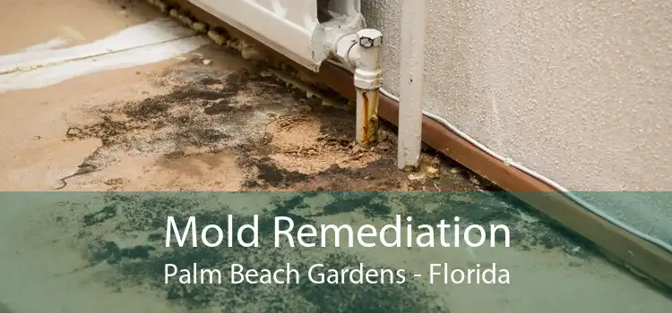 Mold Remediation Palm Beach Gardens - Florida