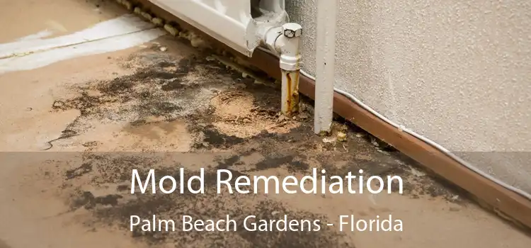 Mold Remediation Palm Beach Gardens - Florida