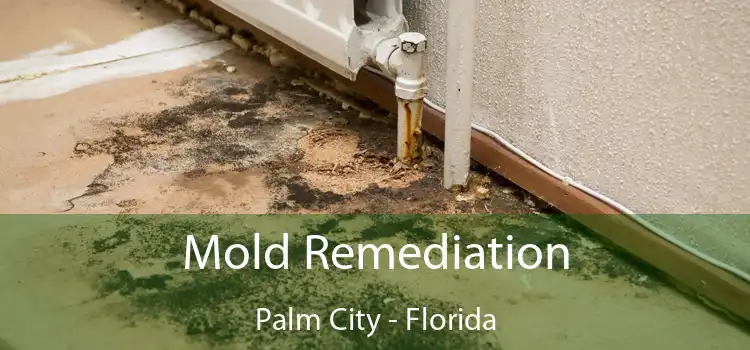 Mold Remediation Palm City - Florida