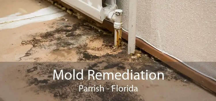 Mold Remediation Parrish - Florida