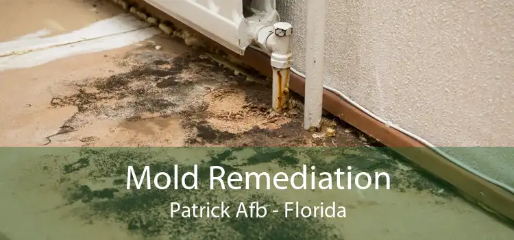 Mold Remediation Patrick Afb - Florida