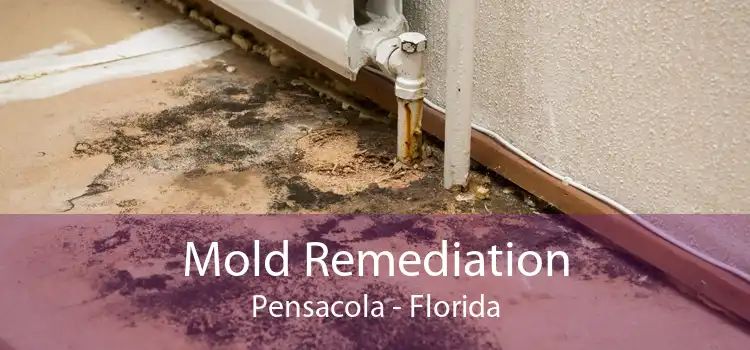 Mold Remediation Pensacola - Florida