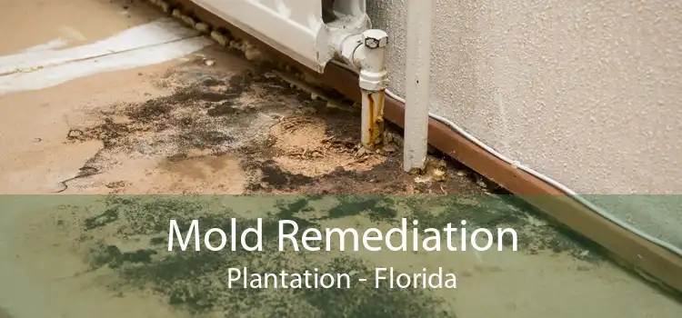 Mold Remediation Plantation - Florida