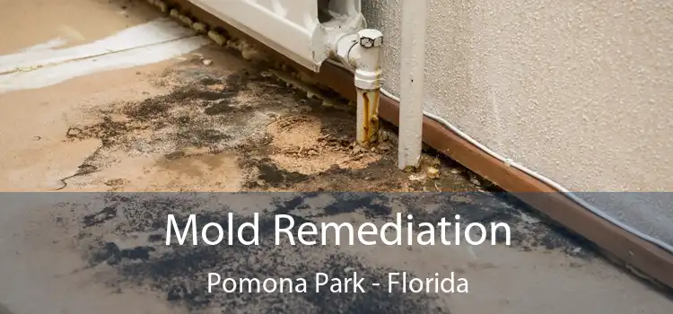 Mold Remediation Pomona Park - Florida