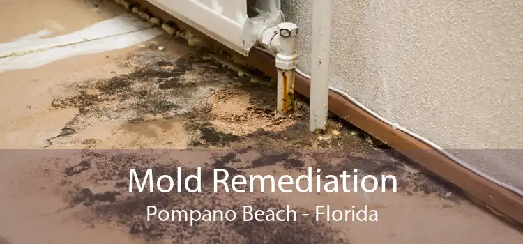 Mold Remediation Pompano Beach - Florida