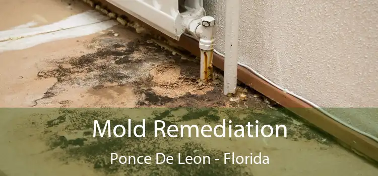 Mold Remediation Ponce De Leon - Florida