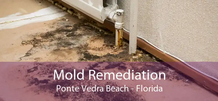 Mold Remediation Ponte Vedra Beach - Florida