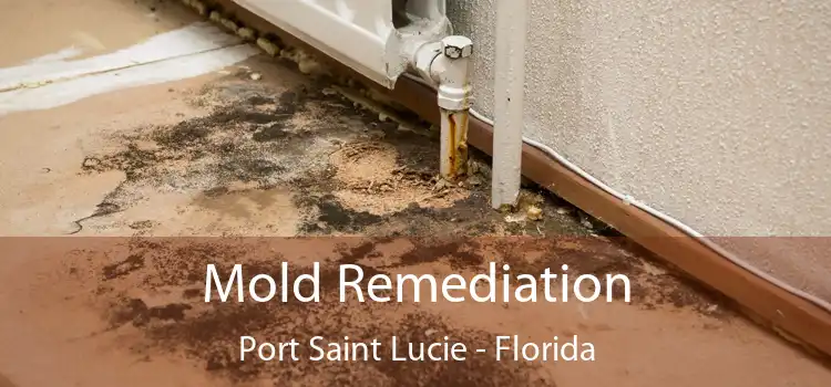 Mold Remediation Port Saint Lucie - Florida