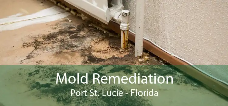 Mold Remediation Port St. Lucie - Florida