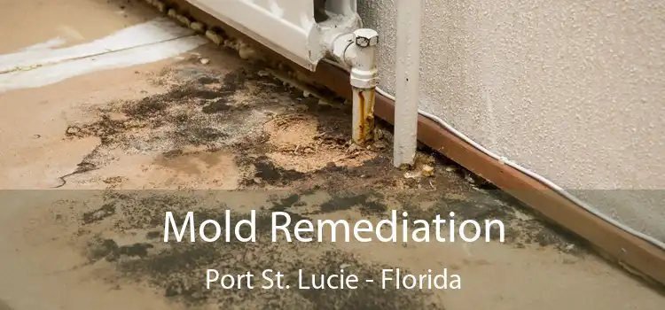 Mold Remediation Port St. Lucie - Florida