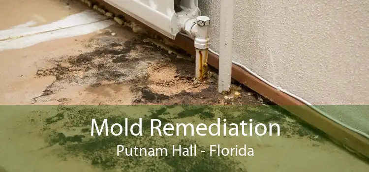 Mold Remediation Putnam Hall - Florida