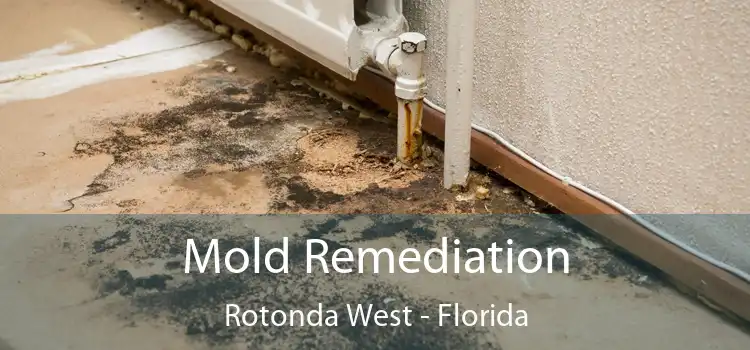 Mold Remediation Rotonda West - Florida