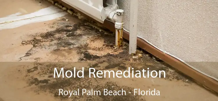 Mold Remediation Royal Palm Beach - Florida