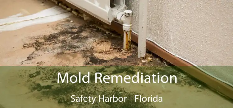 Mold Remediation Safety Harbor - Florida