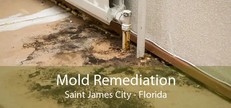 Mold Remediation Saint James City - Florida