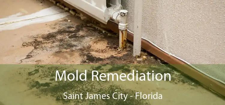 Mold Remediation Saint James City - Florida