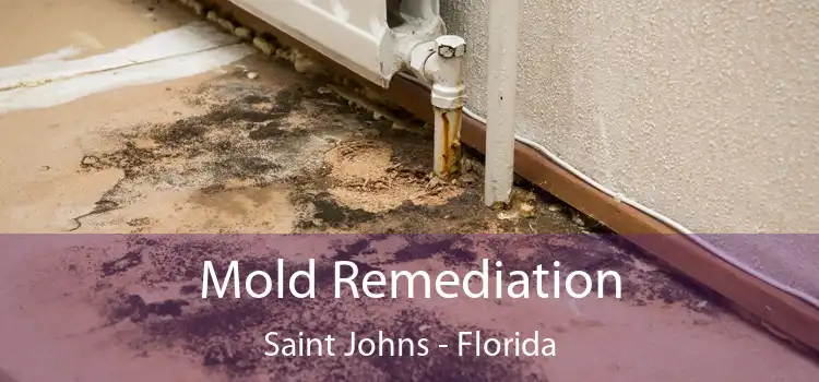 Mold Remediation Saint Johns - Florida