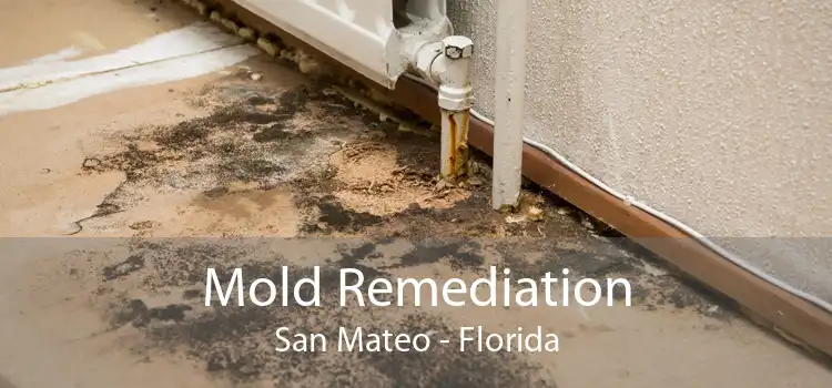Mold Remediation San Mateo - Florida