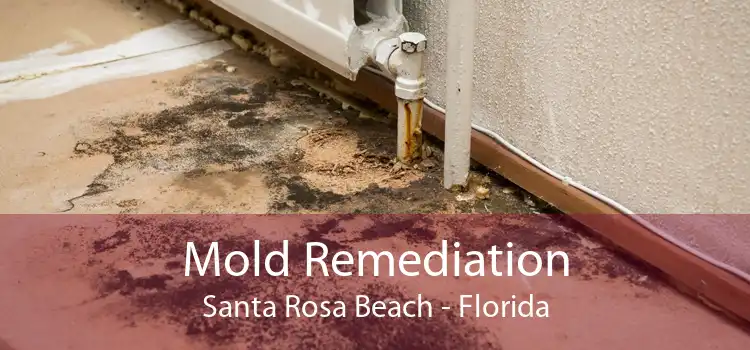 Mold Remediation Santa Rosa Beach - Florida