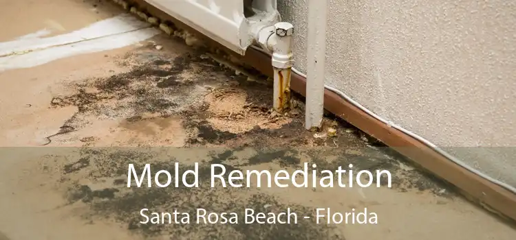 Mold Remediation Santa Rosa Beach - Florida