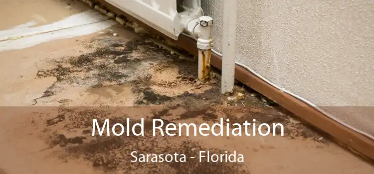 Mold Remediation Sarasota - Florida