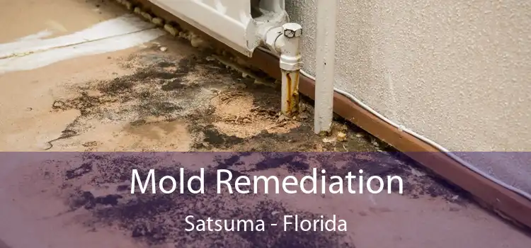 Mold Remediation Satsuma - Florida