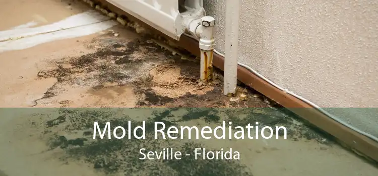 Mold Remediation Seville - Florida