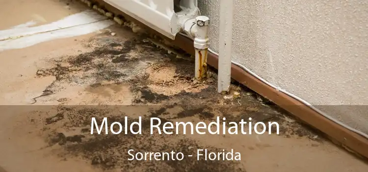 Mold Remediation Sorrento - Florida