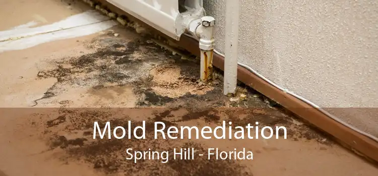 Mold Remediation Spring Hill - Florida