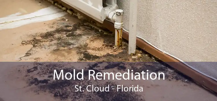 Mold Remediation St. Cloud - Florida
