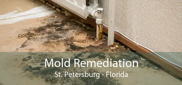 Mold Remediation St. Petersburg - Florida