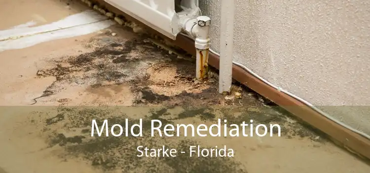 Mold Remediation Starke - Florida