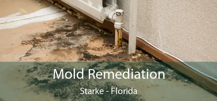 Mold Remediation Starke - Florida