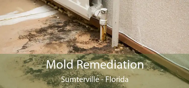 Mold Remediation Sumterville - Florida