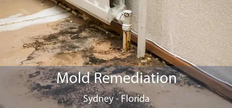 Mold Remediation Sydney - Florida