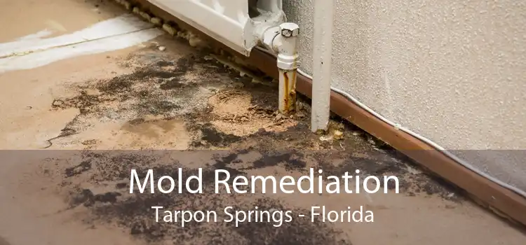 Mold Remediation Tarpon Springs - Florida