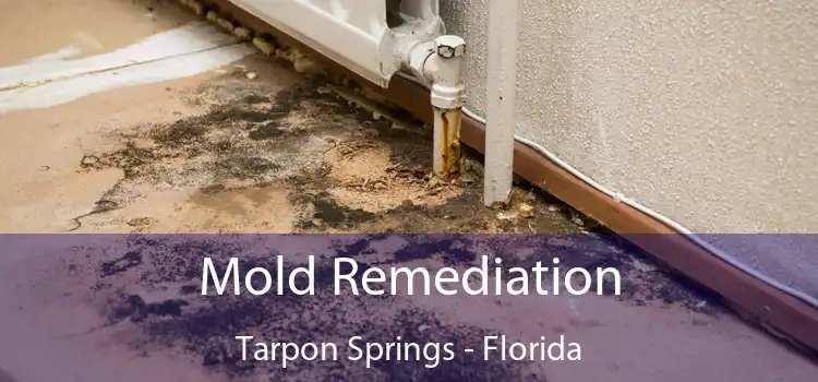 Mold Remediation Tarpon Springs - Florida