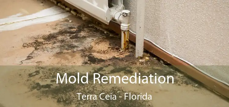 Mold Remediation Terra Ceia - Florida