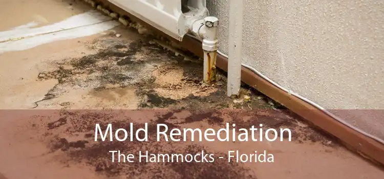 Mold Remediation The Hammocks - Florida