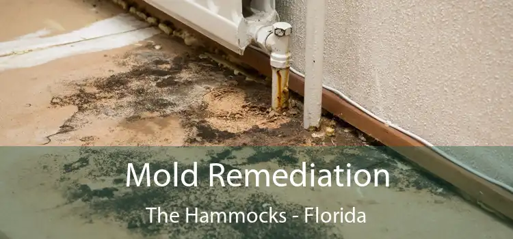 Mold Remediation The Hammocks - Florida