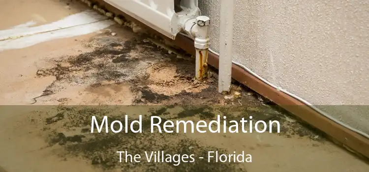 Mold Remediation The Villages - Florida