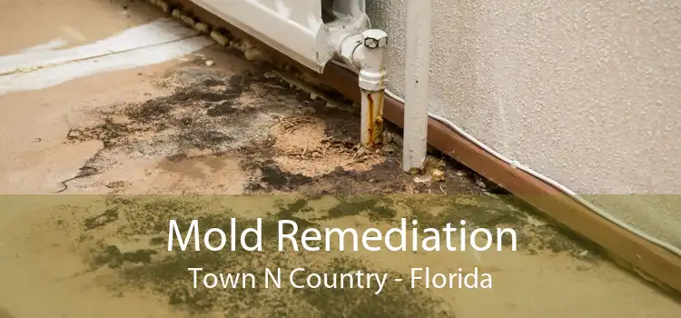 Mold Remediation Town N Country - Florida