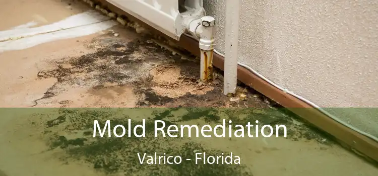 Mold Remediation Valrico - Florida