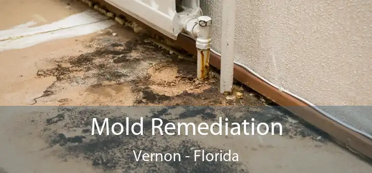 Mold Remediation Vernon - Florida