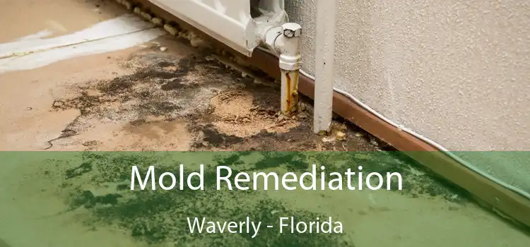 Mold Remediation Waverly - Florida