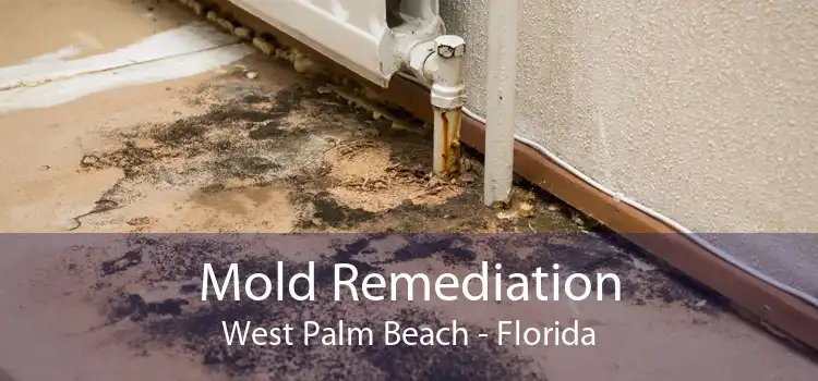 Mold Remediation West Palm Beach - Florida