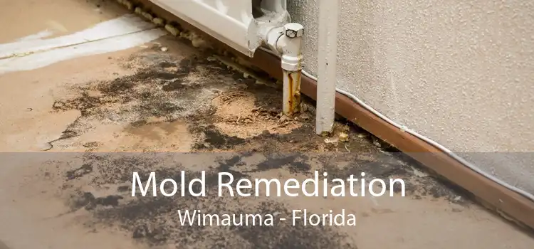 Mold Remediation Wimauma - Florida